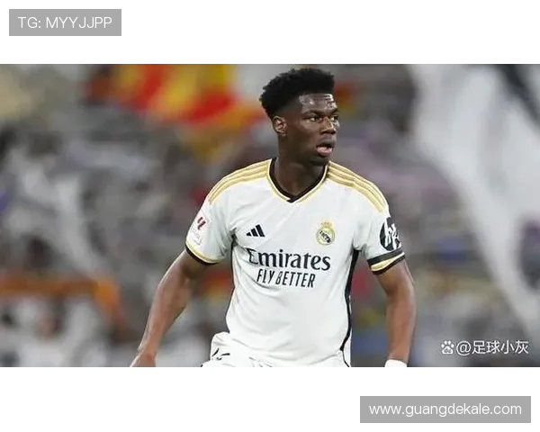 楚阿梅尼速度分析